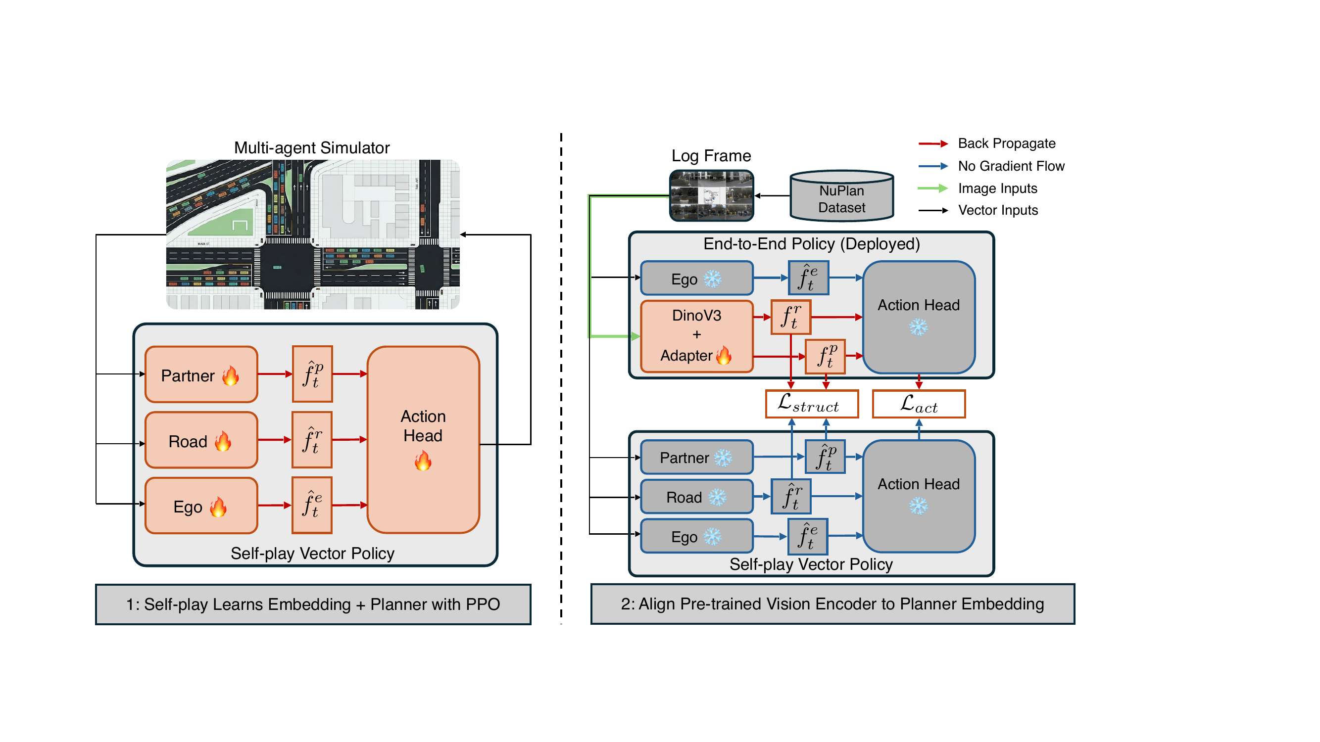 TerraTransfer two-phase training pipeline