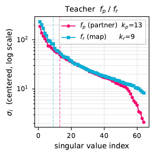 Singular value spectra of the teacher features